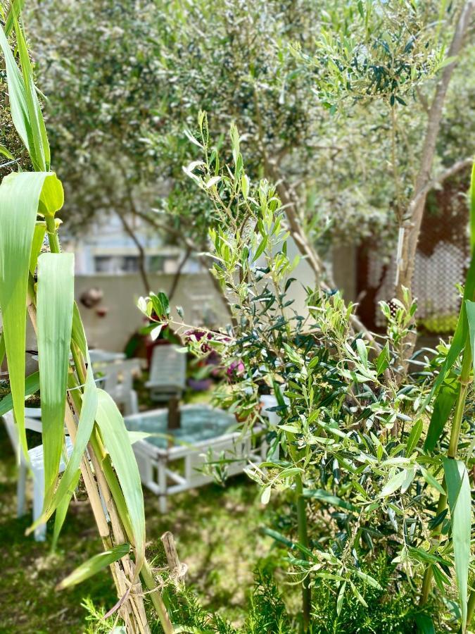 Villa Rocco Rooms Santa Teresa Gallura Exterior foto